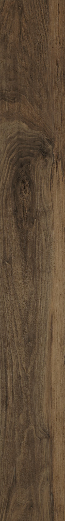 Terra swatch