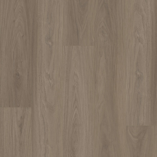 Woodland Mist