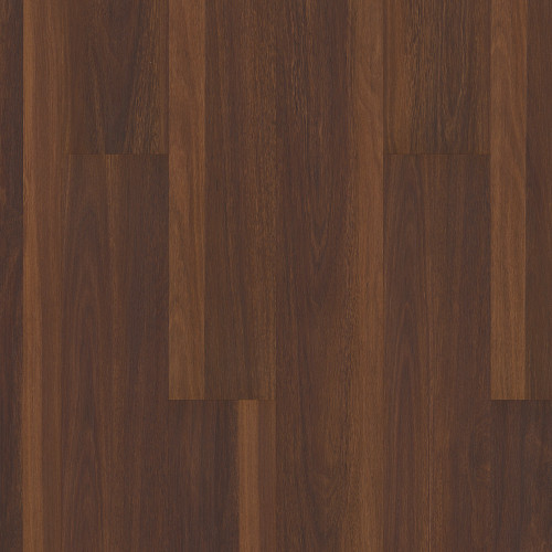 Biscayne Oak
