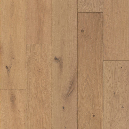 Dynasty