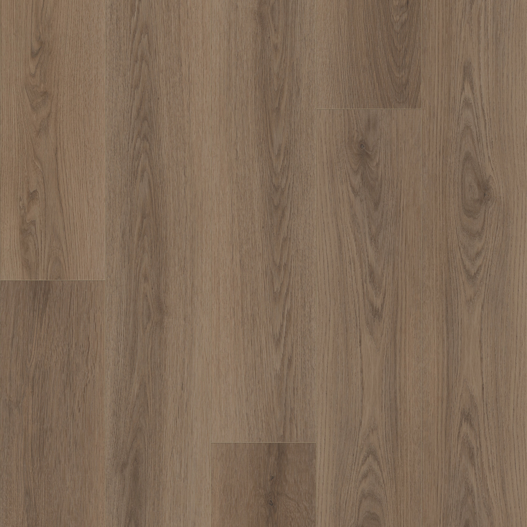 Mocha swatch