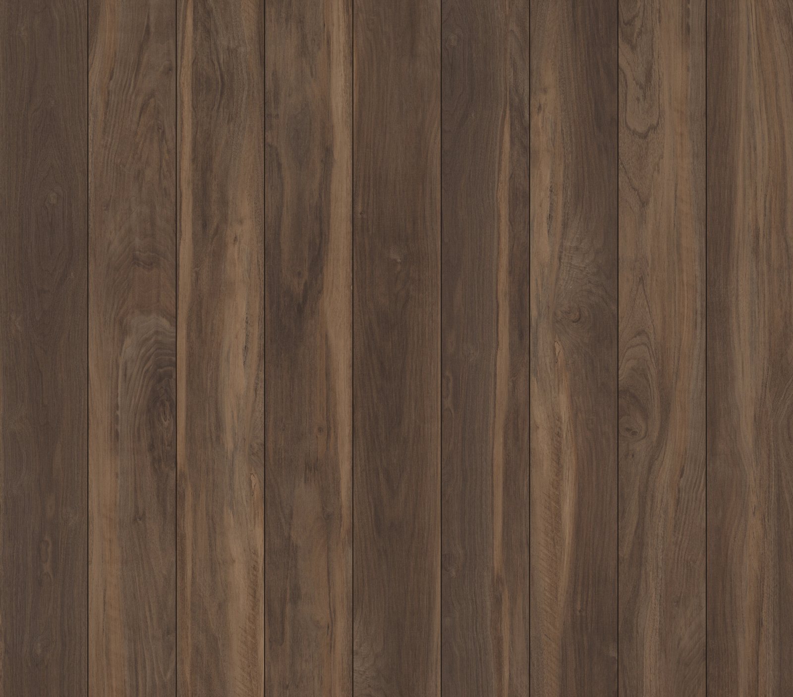 Terra, its boards side by side