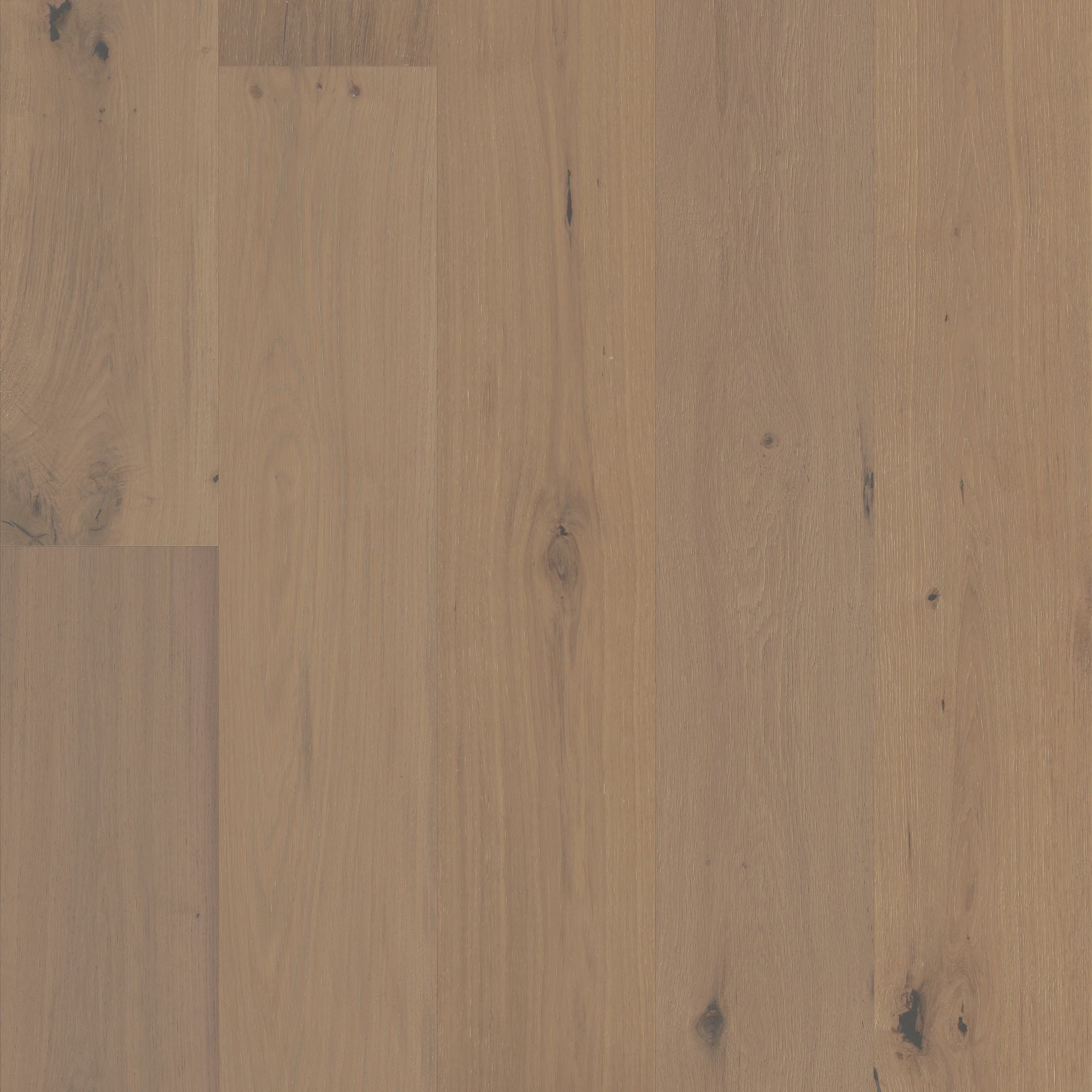 Parlor swatch